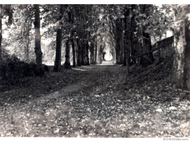 pdf008