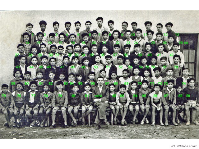 Photo Donville