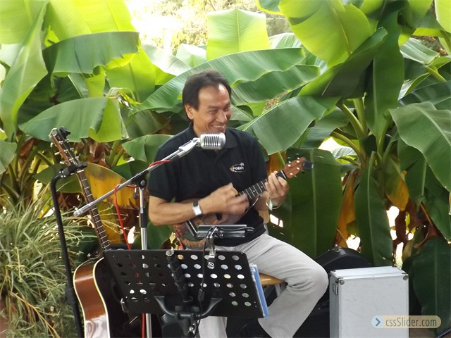 DSCF0452